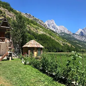 Ledio Pensión